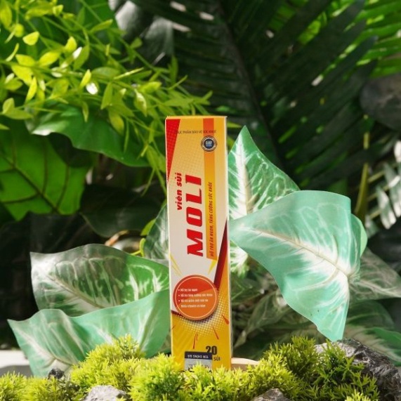 Viên sủi tăng cân Moli