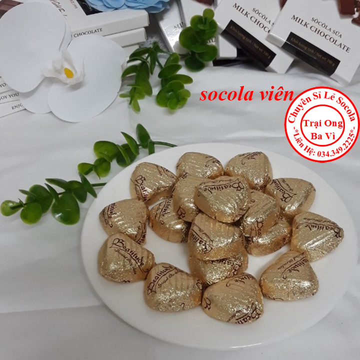 Socola Sữa Organic Hộp 100 Gam
