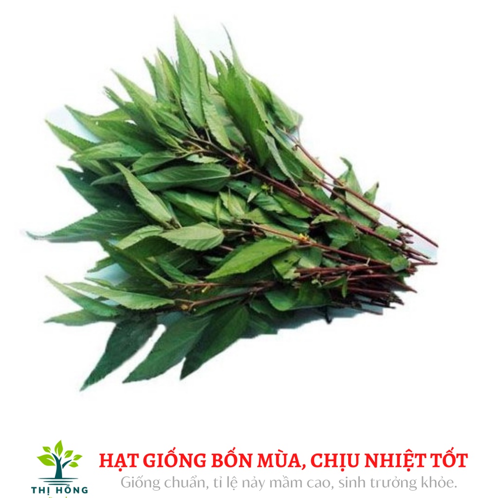 Hạt giống rau đay đỏ 20g (lá nhỏ, giống bản địa, ăn ngon)