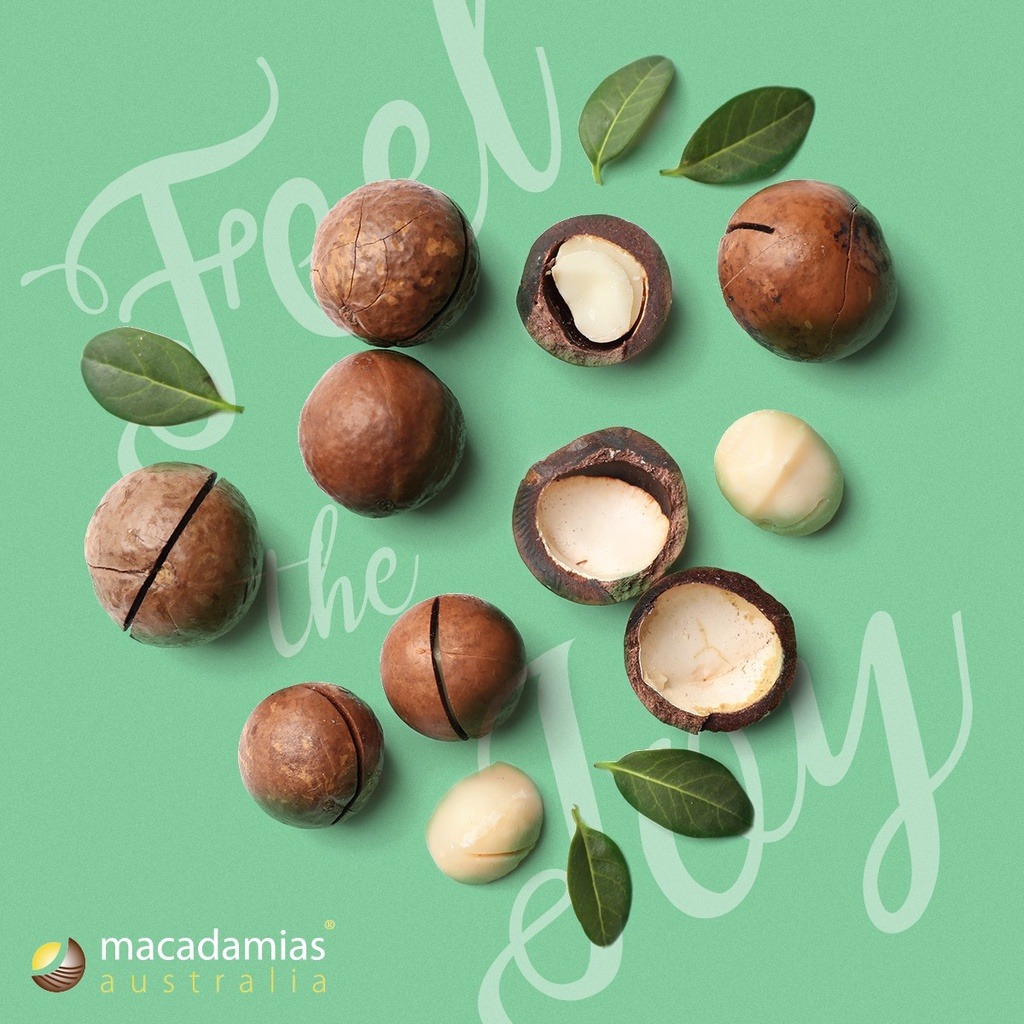 Hạt mắc ca nguyên vỏ Macadamias