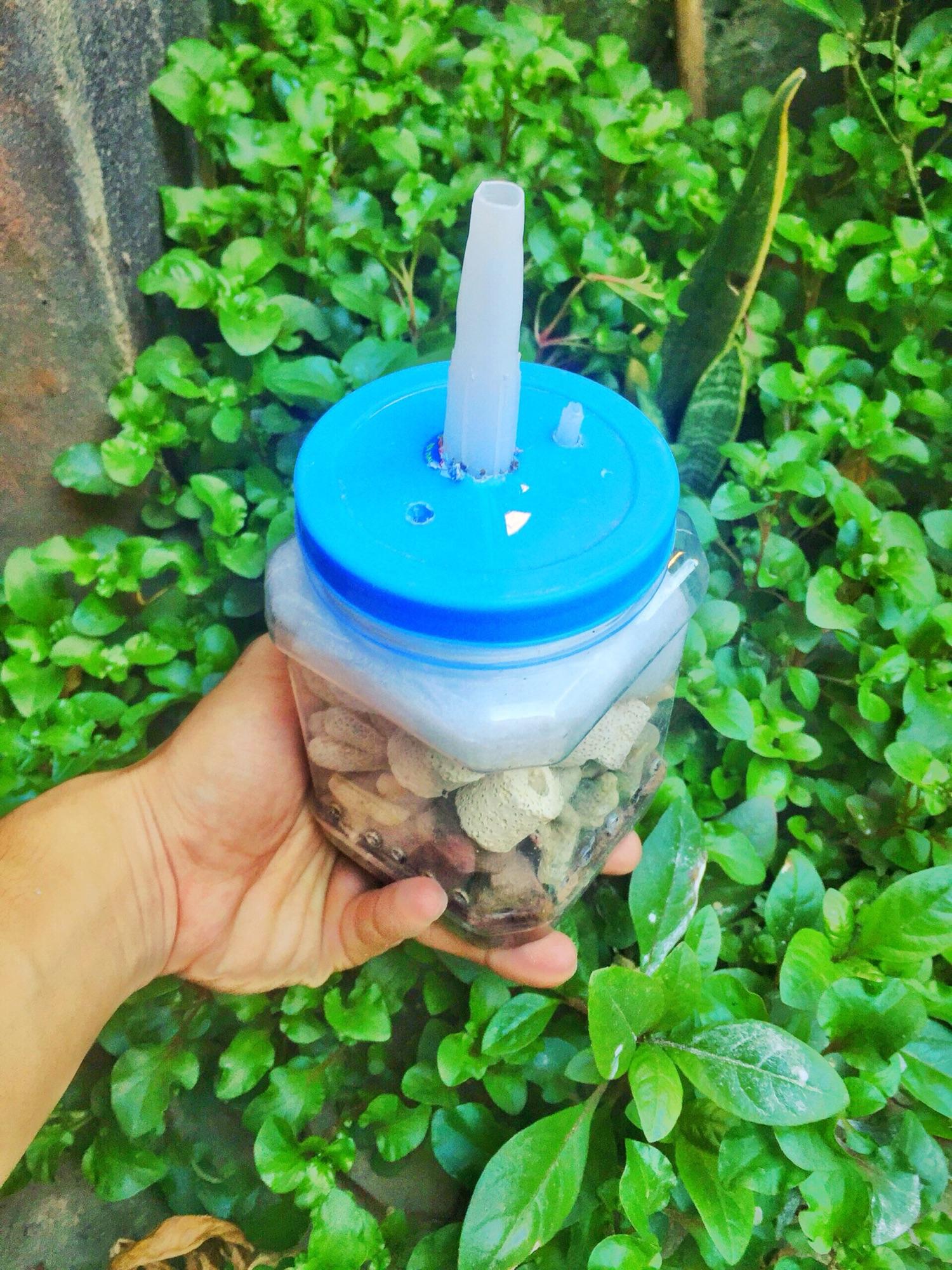 Lọc vi sinh tự chế dành cho hồ cá cảnh