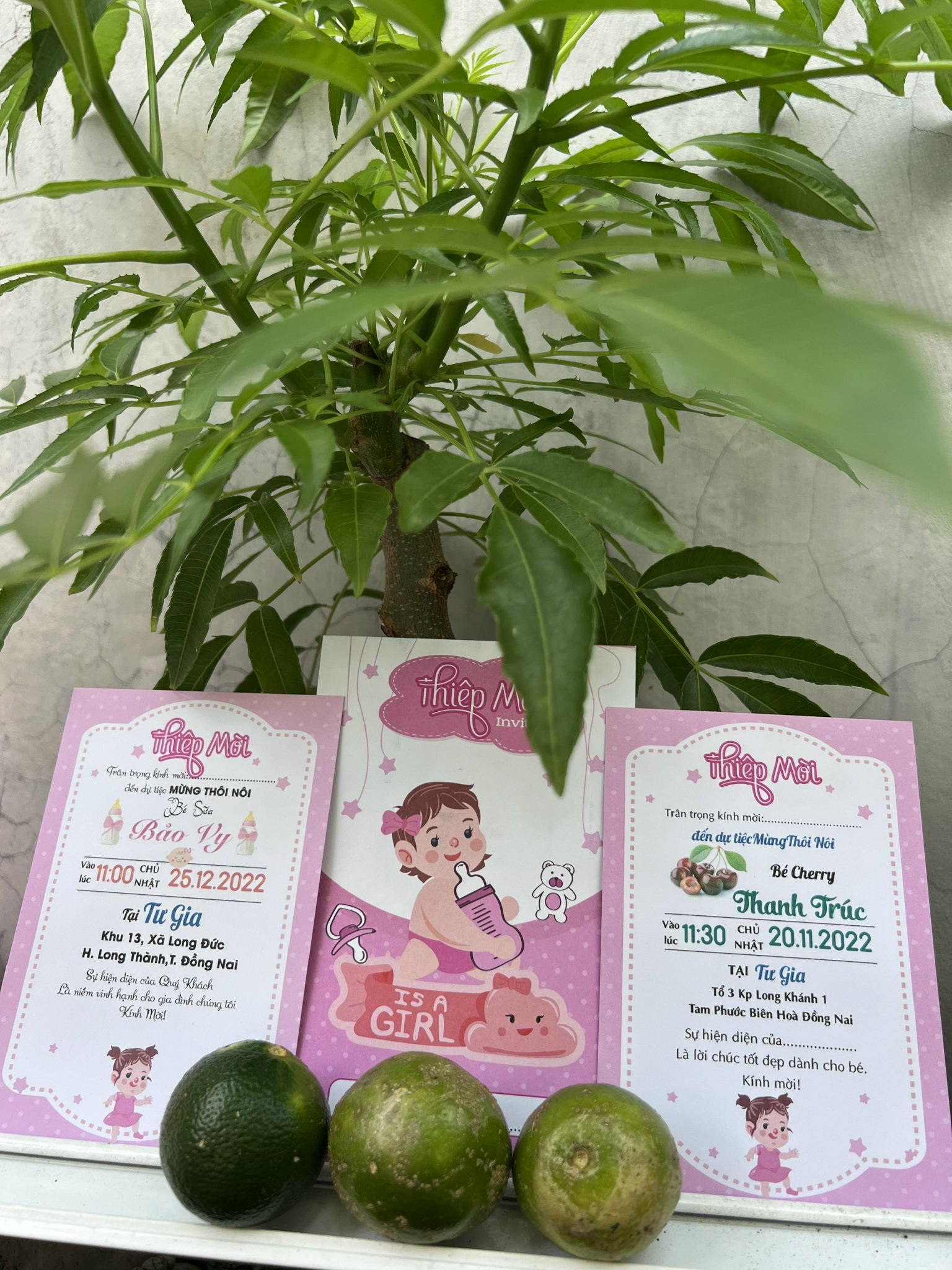 Combo 30 thiệp mời thôi nôi, đầy tháng bé gái cute