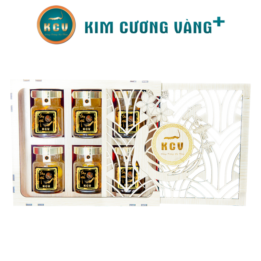 Sâm yến đông trùng hạ thảo kcv