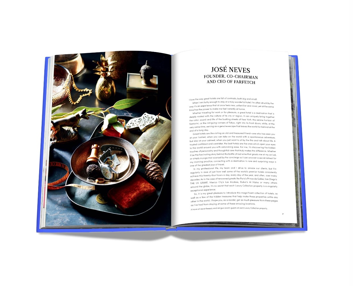 Artbook - Sách Tiếng Anh - The Luxury Collection: Hotel Secrets