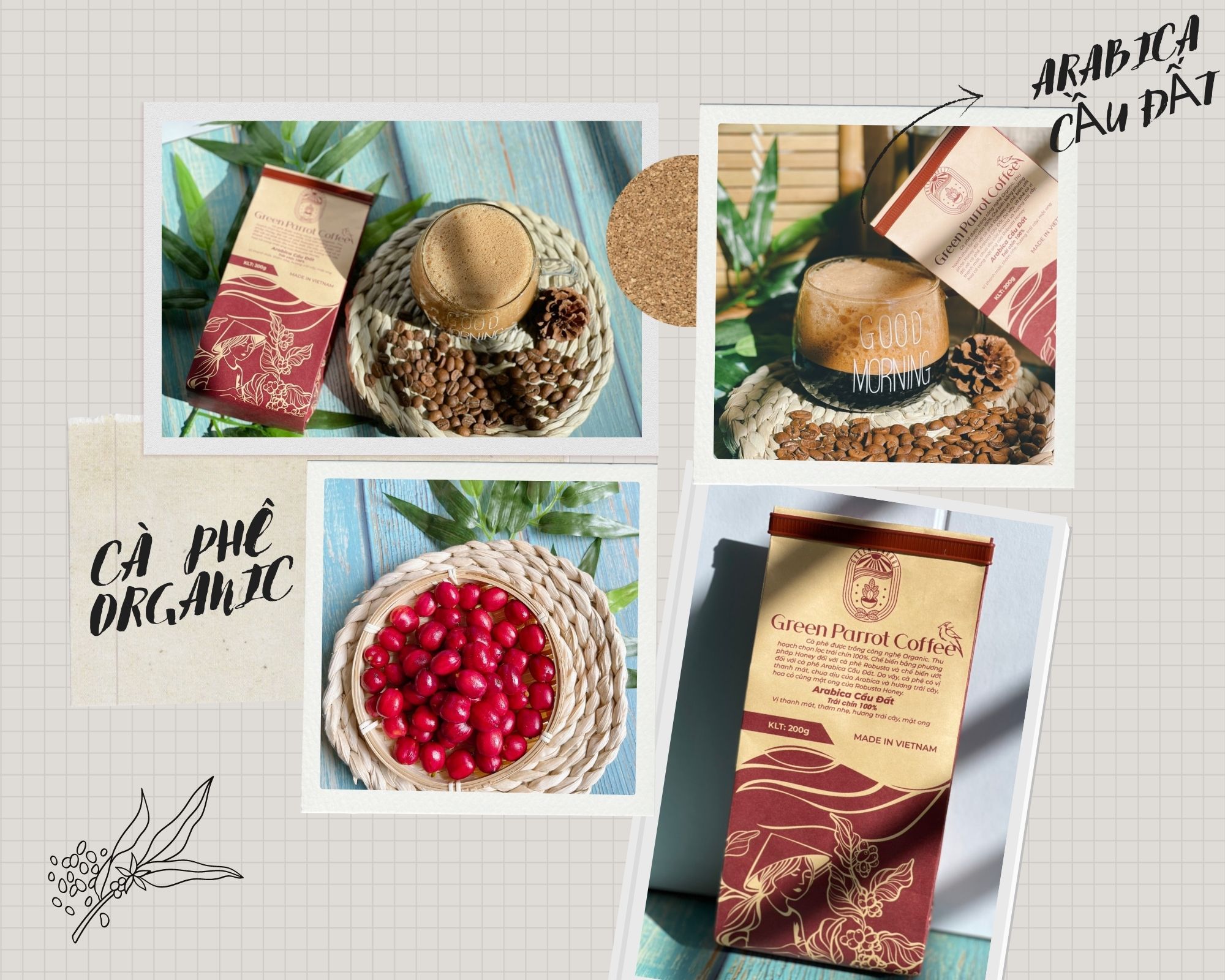 [COMBO 1KG] - Cà phê Arabica Cầu Đất Green Parrot 100% trái chín