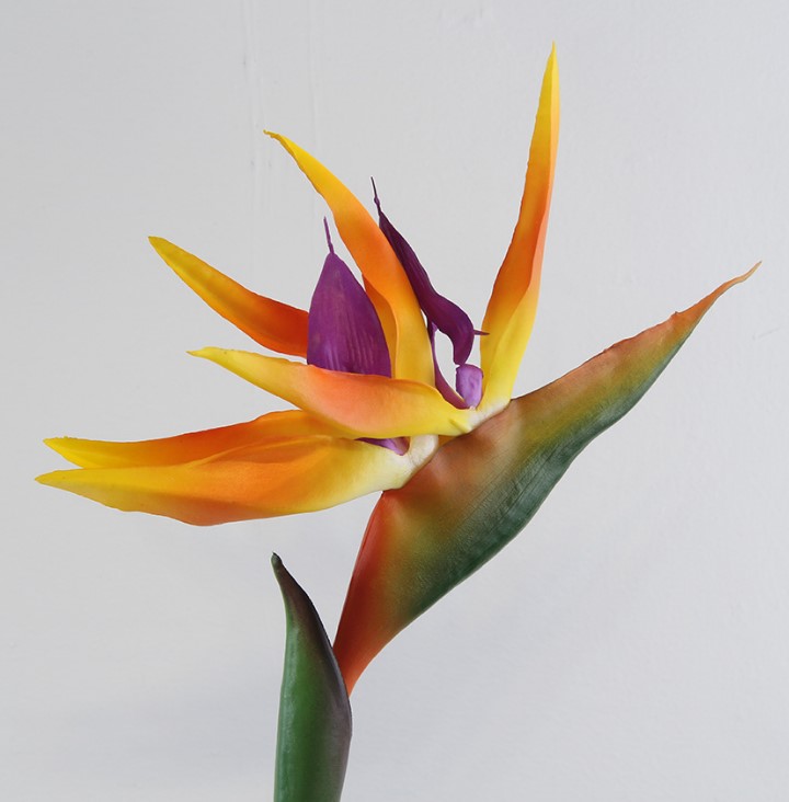 Cành Hoa Thiên Điểu có ảnh thật cao 85cm - Hoa giả