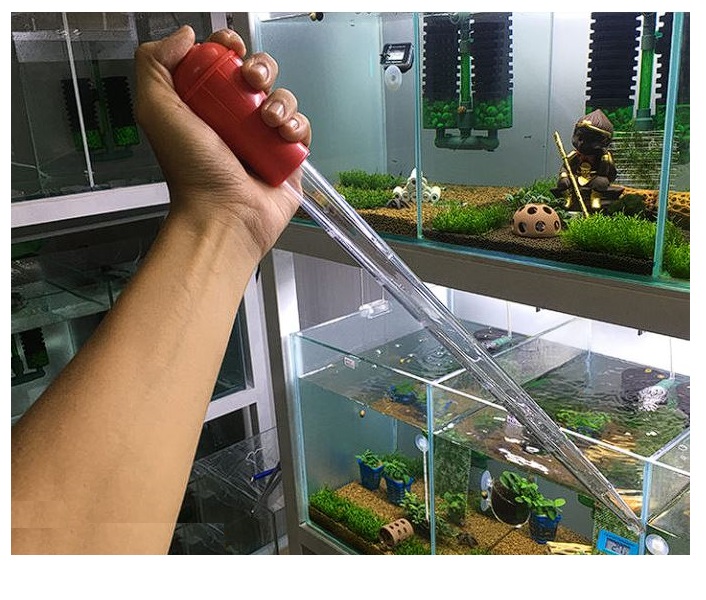 Cây bóp hút cặn hồ cá mini
