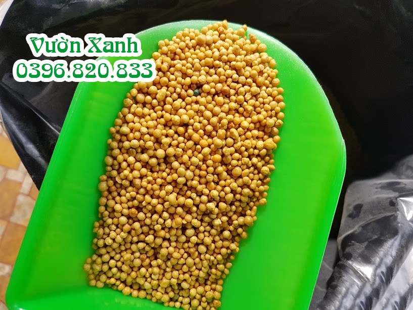 Phân vàng Osmocote 14-14-14 tan chậm 1kg