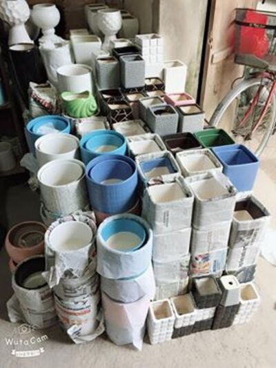Chậu cây tiểu cảnh