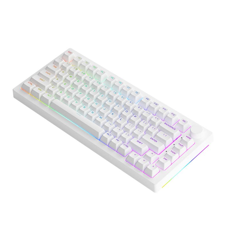 Akko 5075b plus mechanical keyboard White (multi-moment/RGB/gasket mount) -authentic