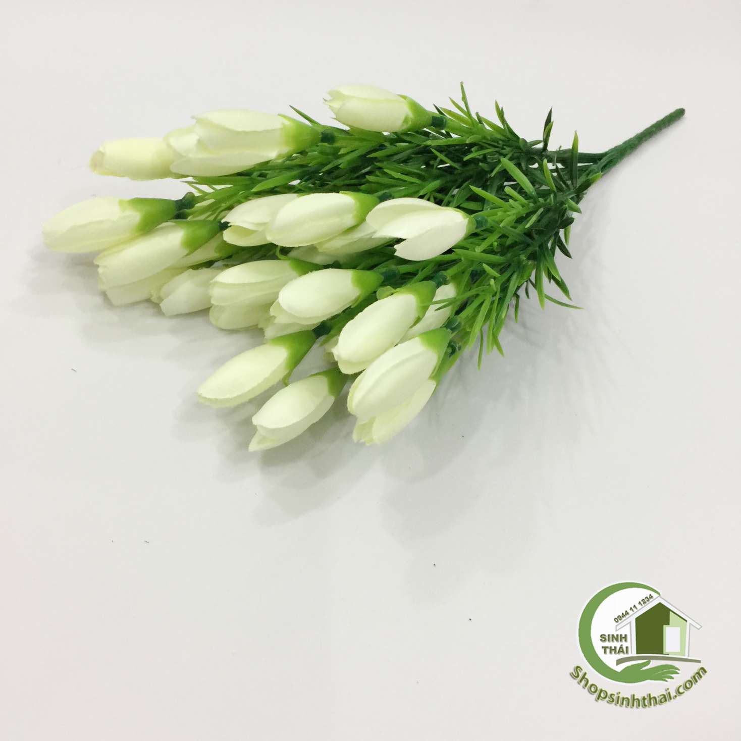[HCM]Bụi Hoa Tulip Nhí Màu Trắng