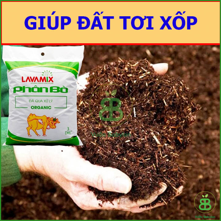 Phân Bò LAVAMIX Đã Qua Xử Lý 3DM3