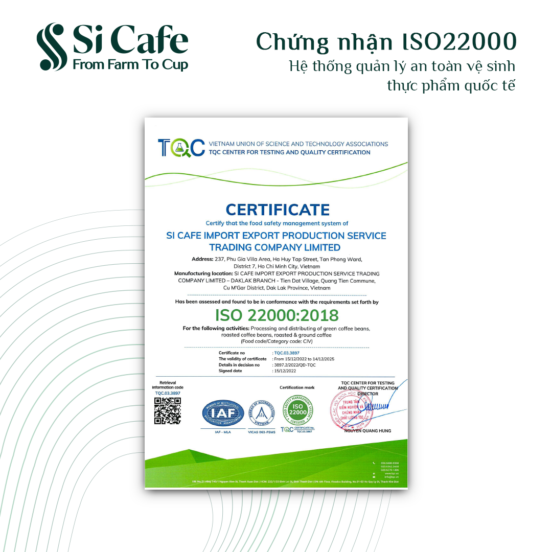 CÀ PHÊ PHIN GIẤY VIBE TỪ SI CAFE - 100% ROBUSTA