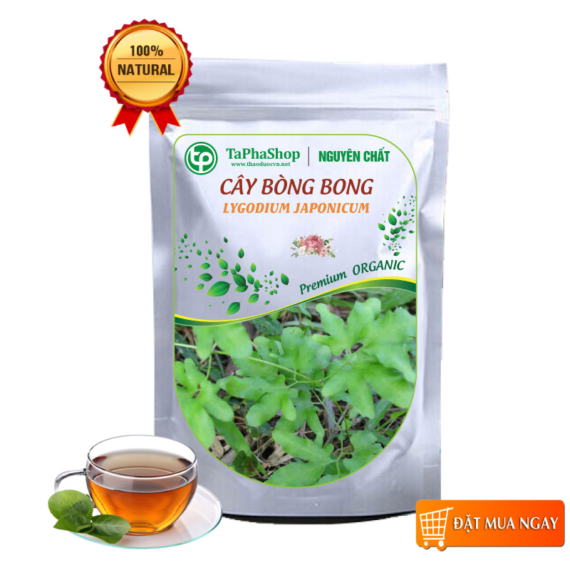 Cây bòng bong khô 500g, Thơm, Sạch, Trà cây bòng bong, Hải kim sa khô - Tấn Phát