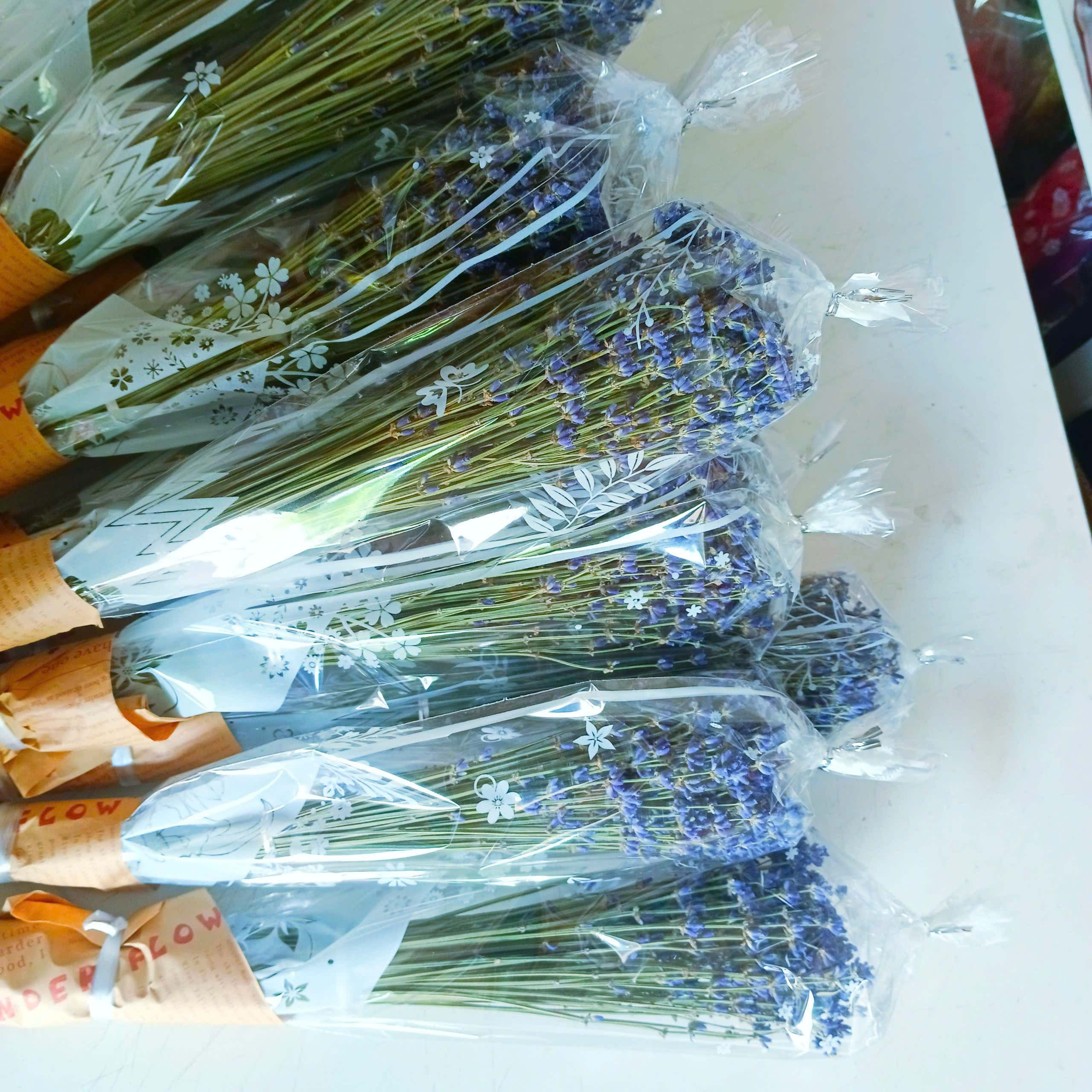 hoa khô - oải hương - lavender ( loại đẹp )