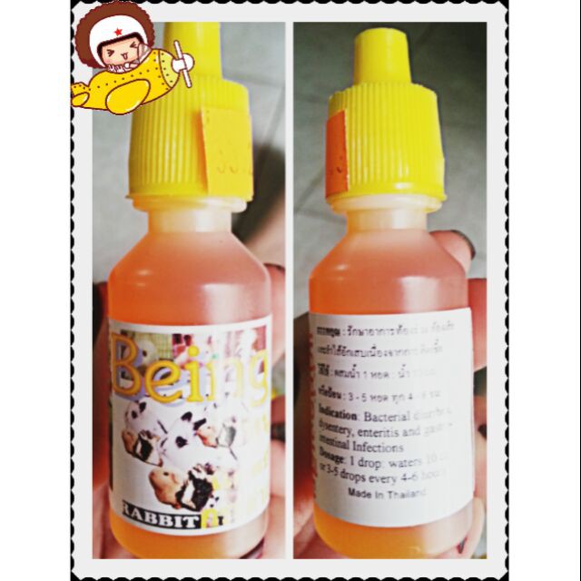 tiêu chảy Thái cho hamster thỏ bọ sóc nhím