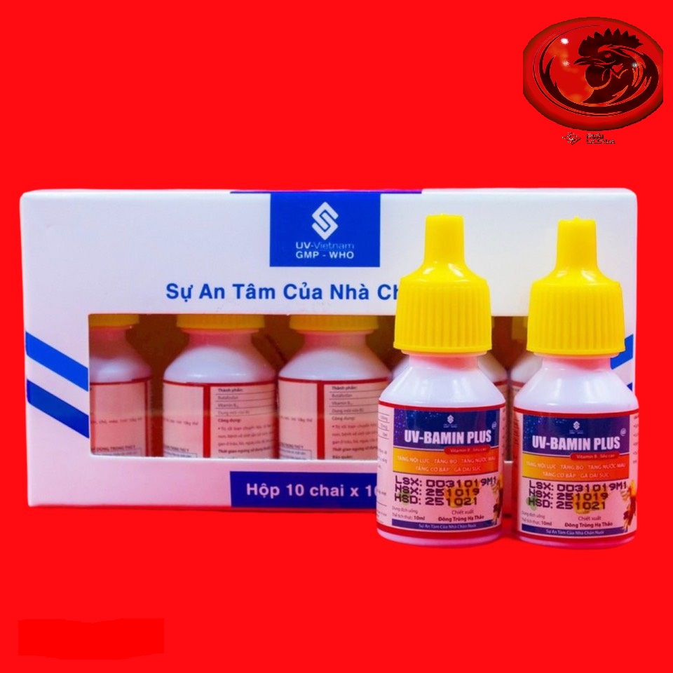 UV - BAMIN PLUS TĂNG NỘI LỰC - TĂNG CƠ - TĂNG NƯỚC MÁU 1 HỘP 10 LỌ