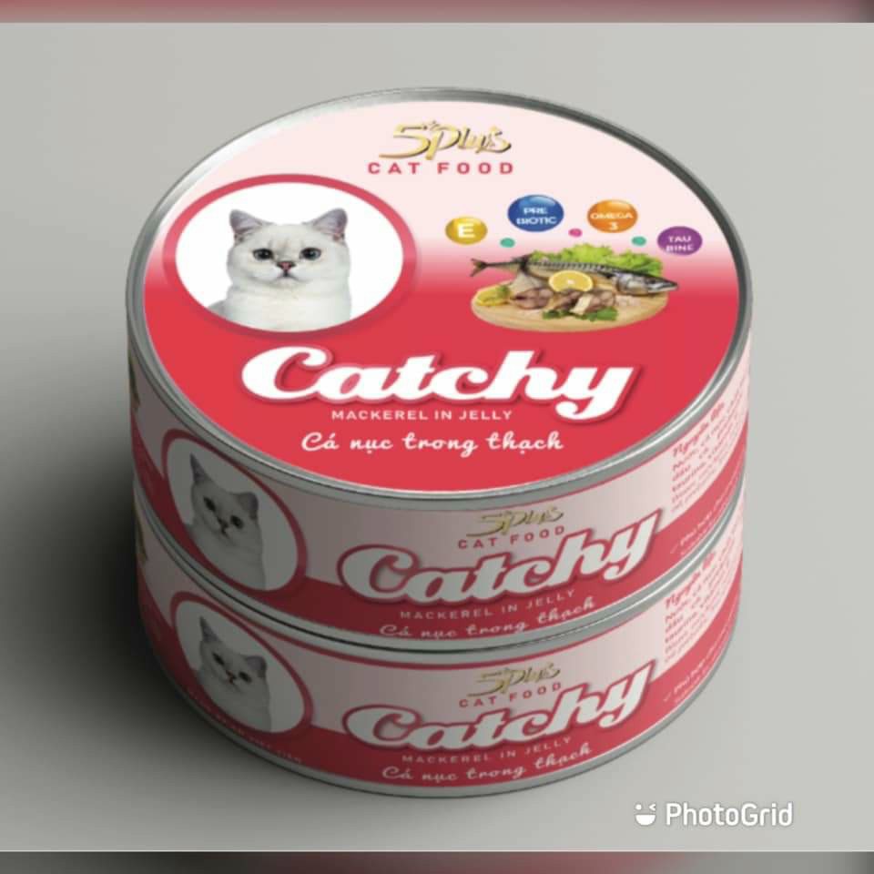 Pate mèo Catchy 5Plus dạng lon 170gram - CThanhpetshop