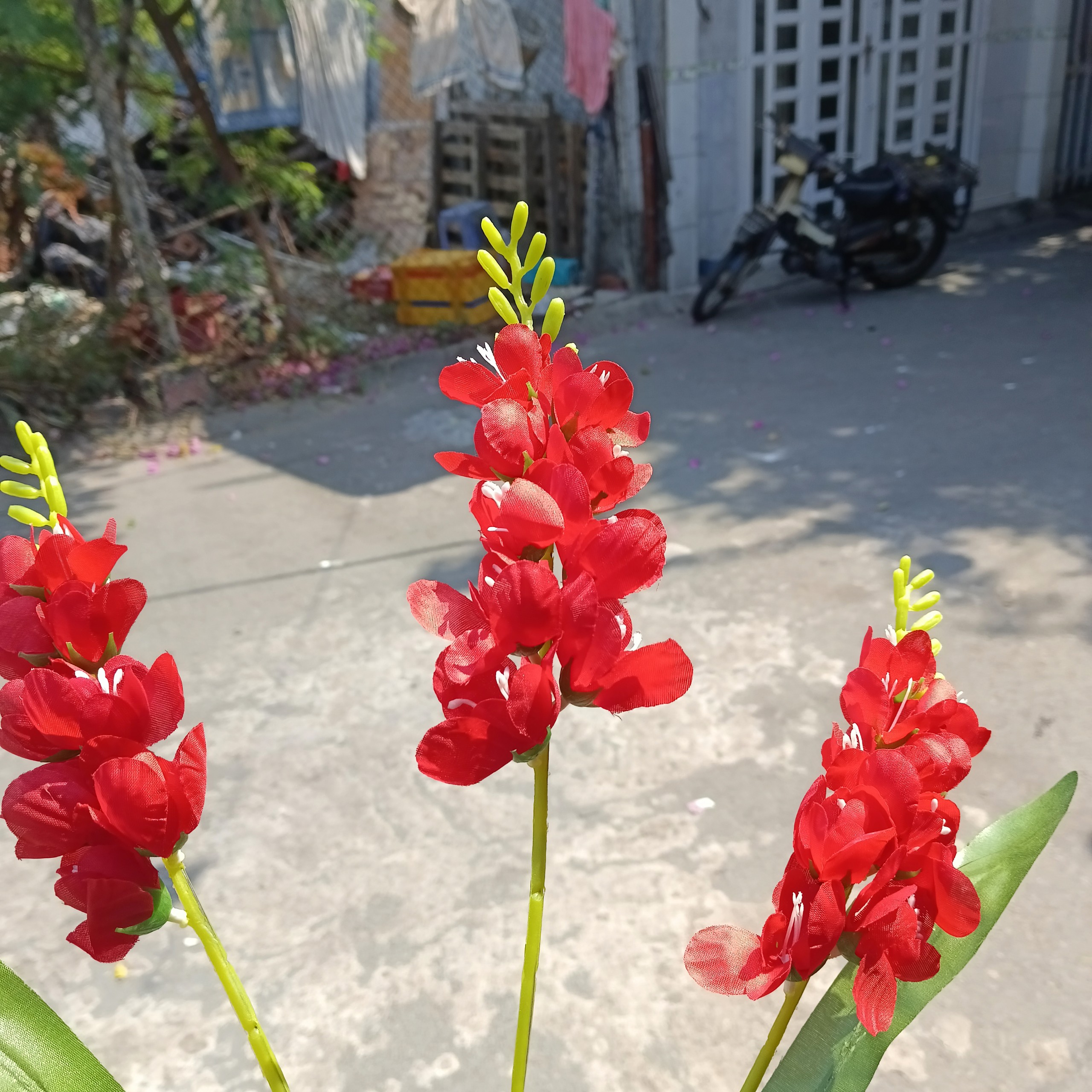 cành hoa lan phi yến giả - hoa lụa cao cấp - thanh lý sập sàn