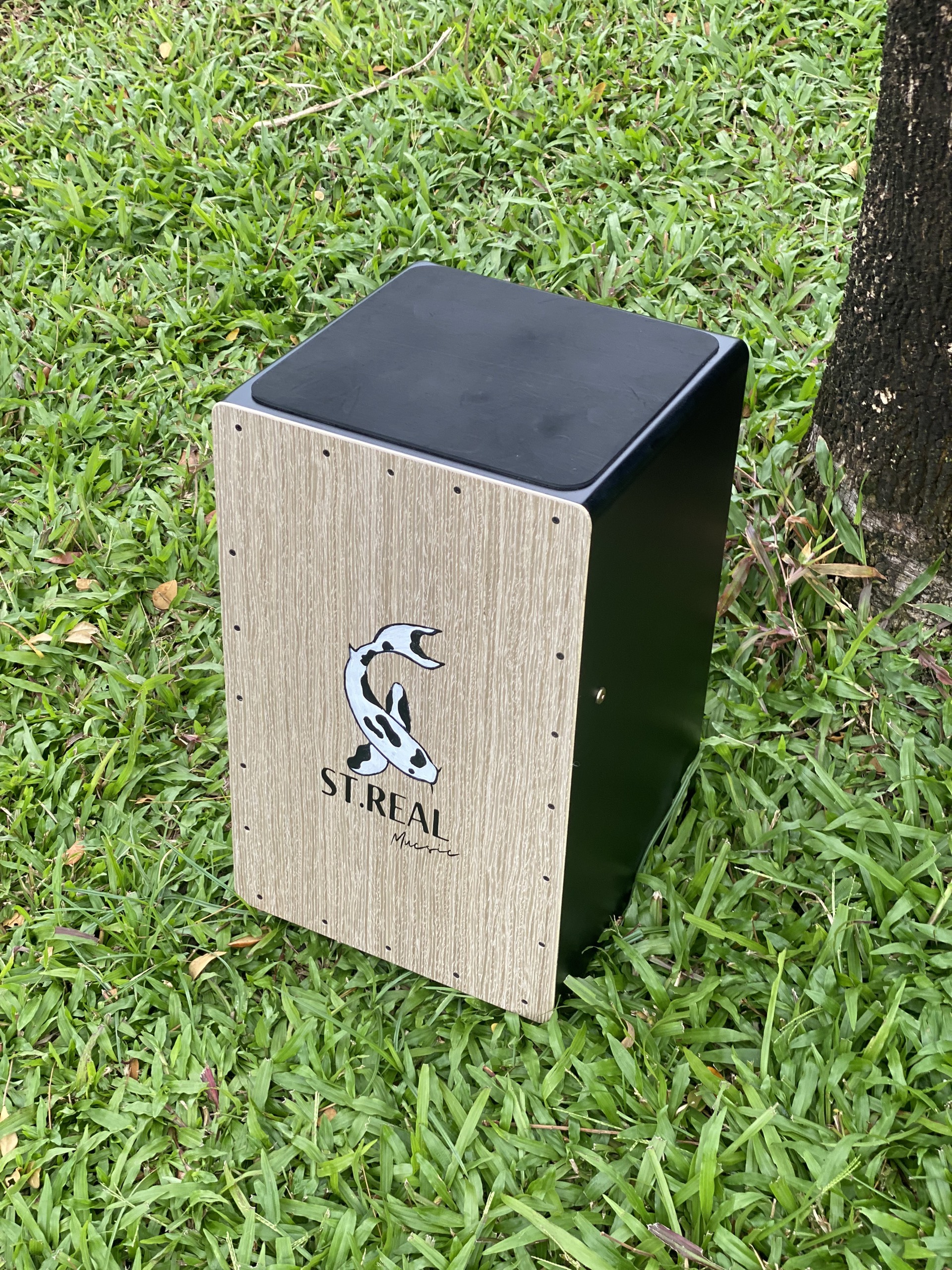 Trống Cajon KOI SHIRO - Tặng Miếng Lót