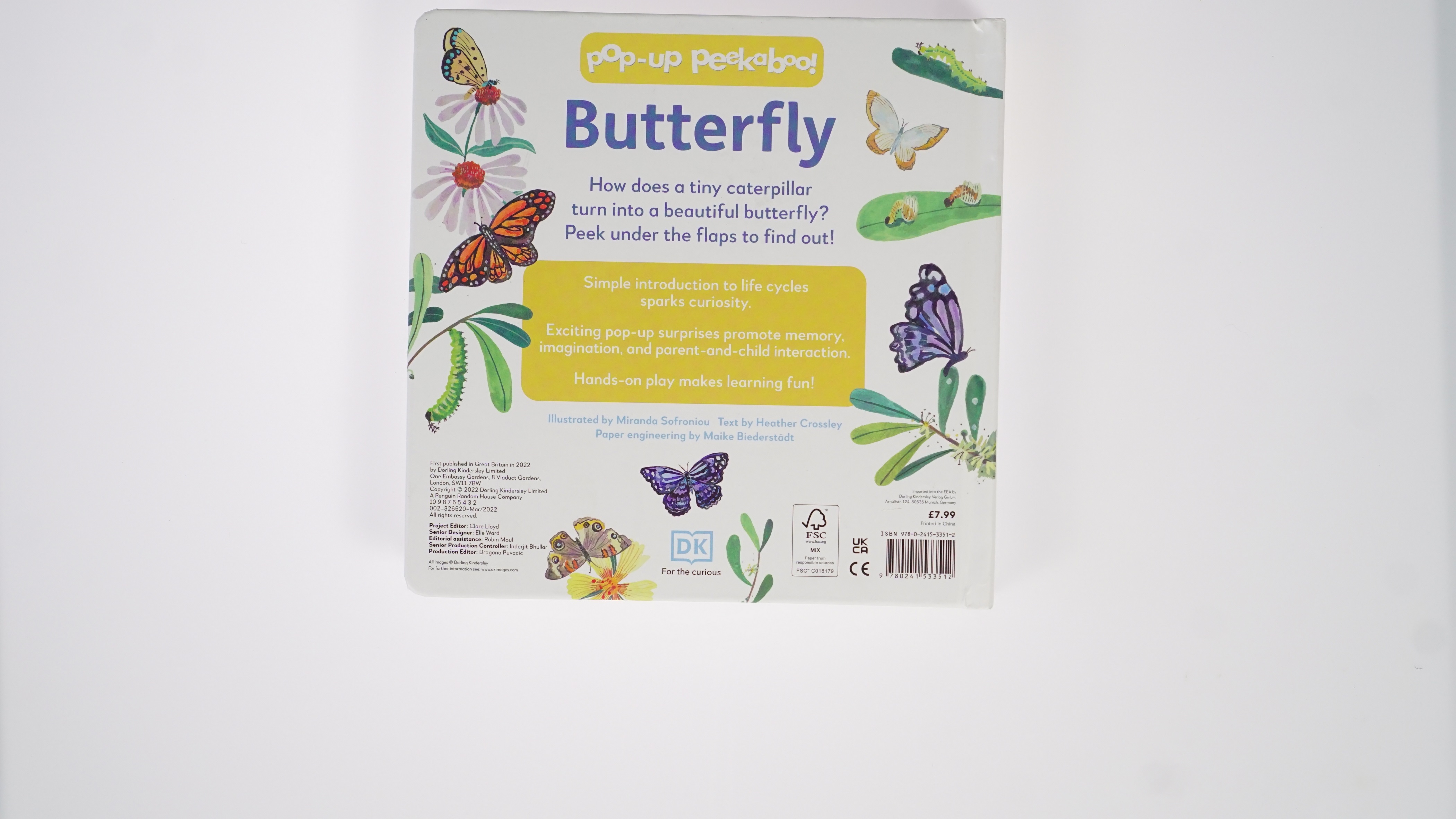 Pop-Up Peekaboo! Butterfly