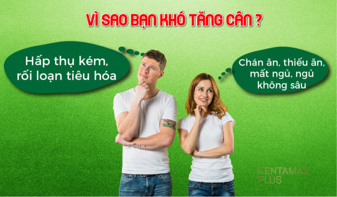 Viên thảo dược tăng cân hồng sâm