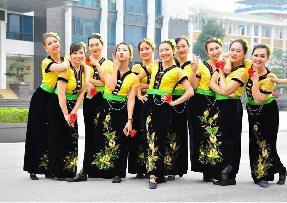 Trang phục dân tộc người thái biểu diễn hoạ tiết hoa văn đính đá cao cấp, bộ trang phục múa dân tộc văn nghệ hội làng