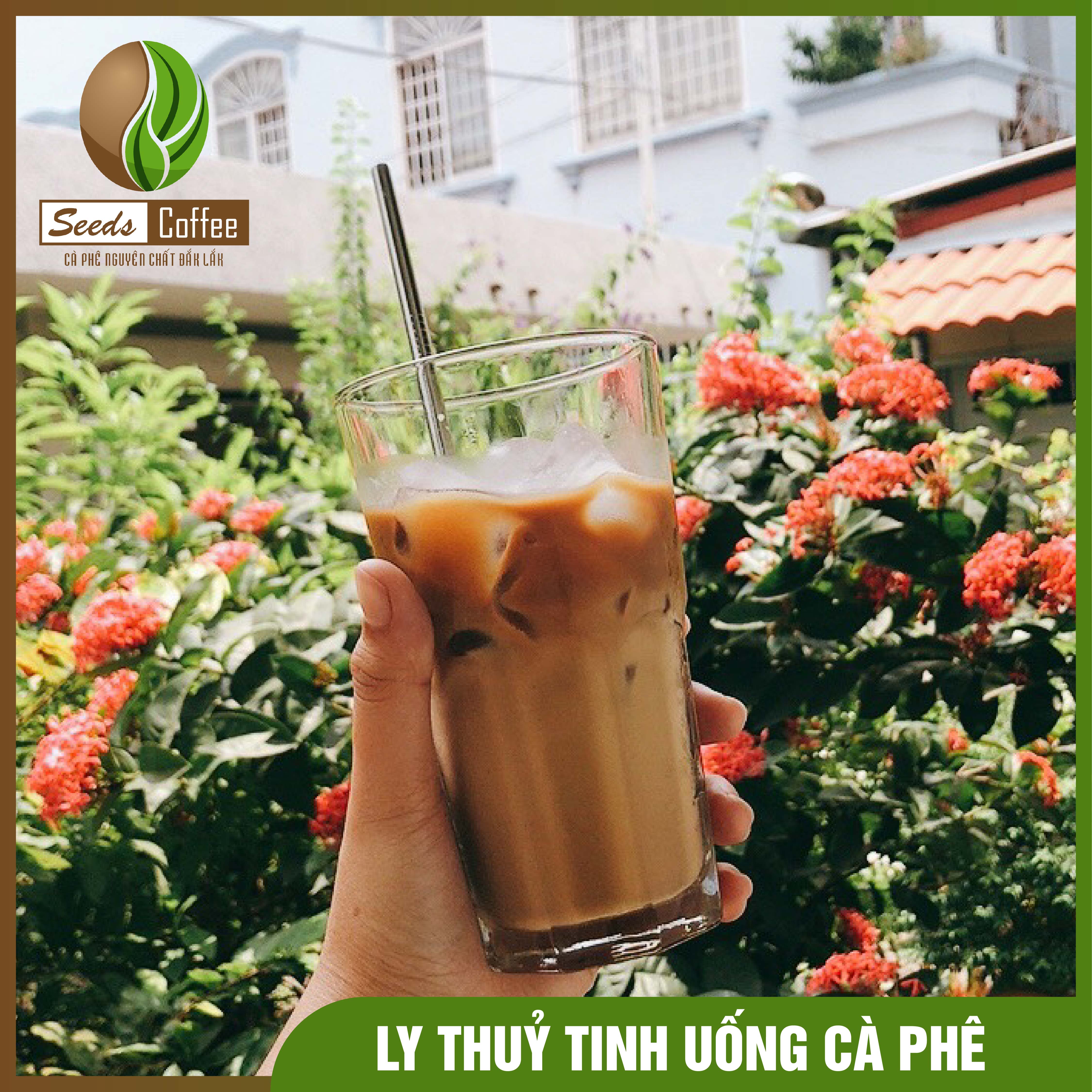 Ly cốc thuỷ tinh uống cà phê 330ml