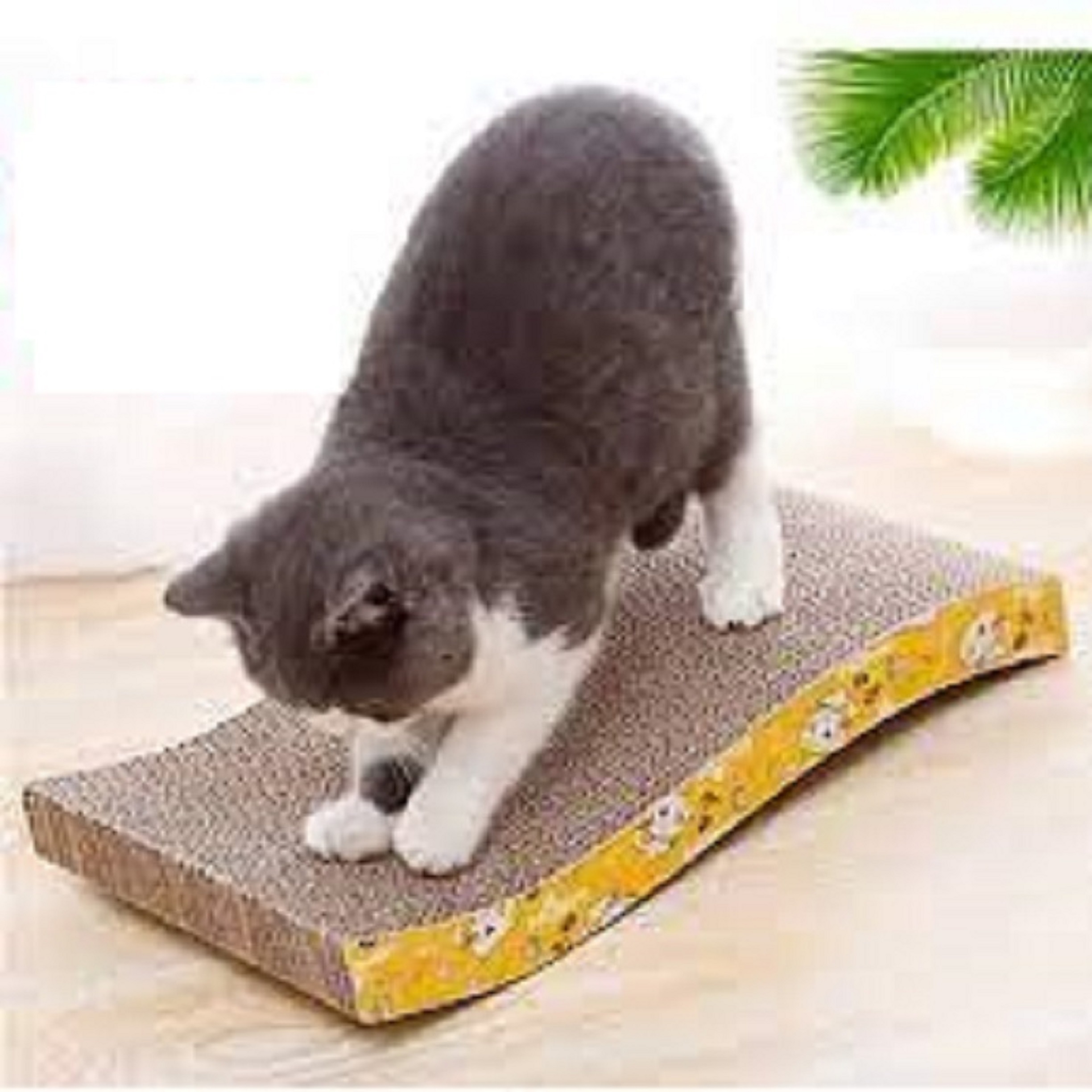 [ phụ kiện ] Bàn cào cho mèo sóng lớn - size lớn