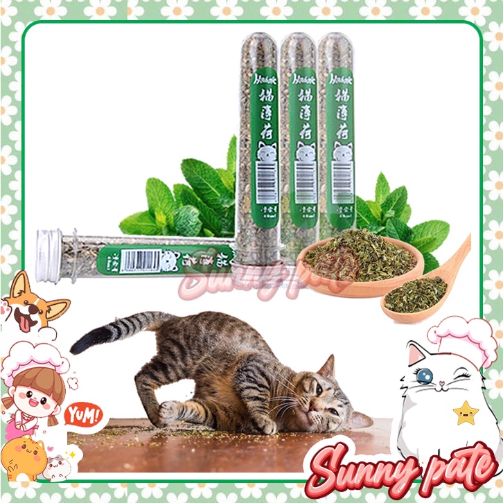 CATNIP - bạc hà khô cho mèo - ống