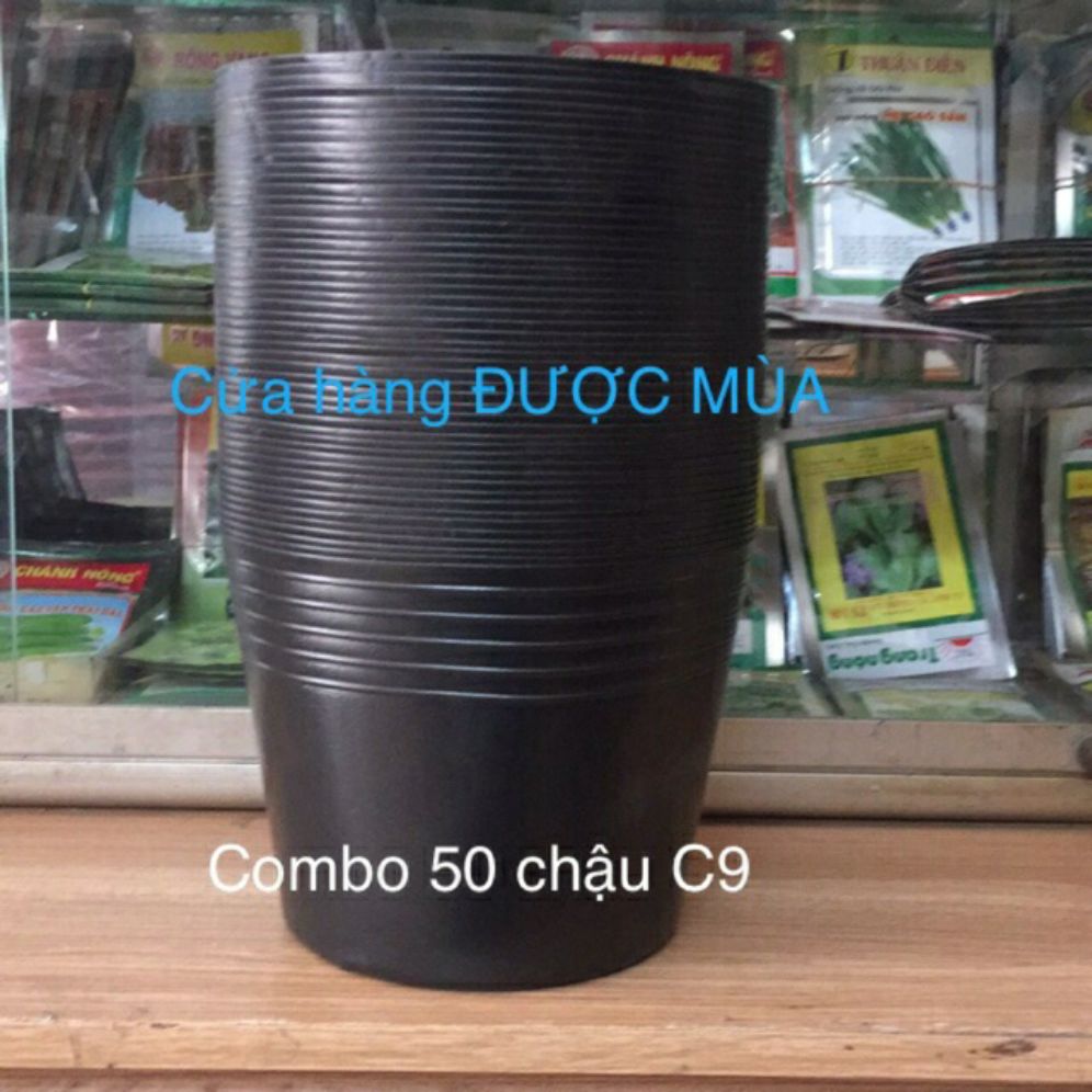 combo 50 chậu đen C9.