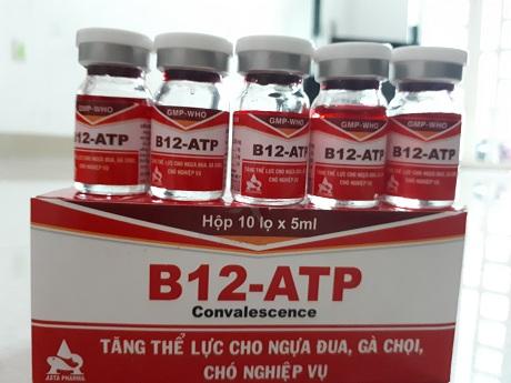 05 LỌ TĂNG LỰC CHO GÀ ĐÁ B12_ATP