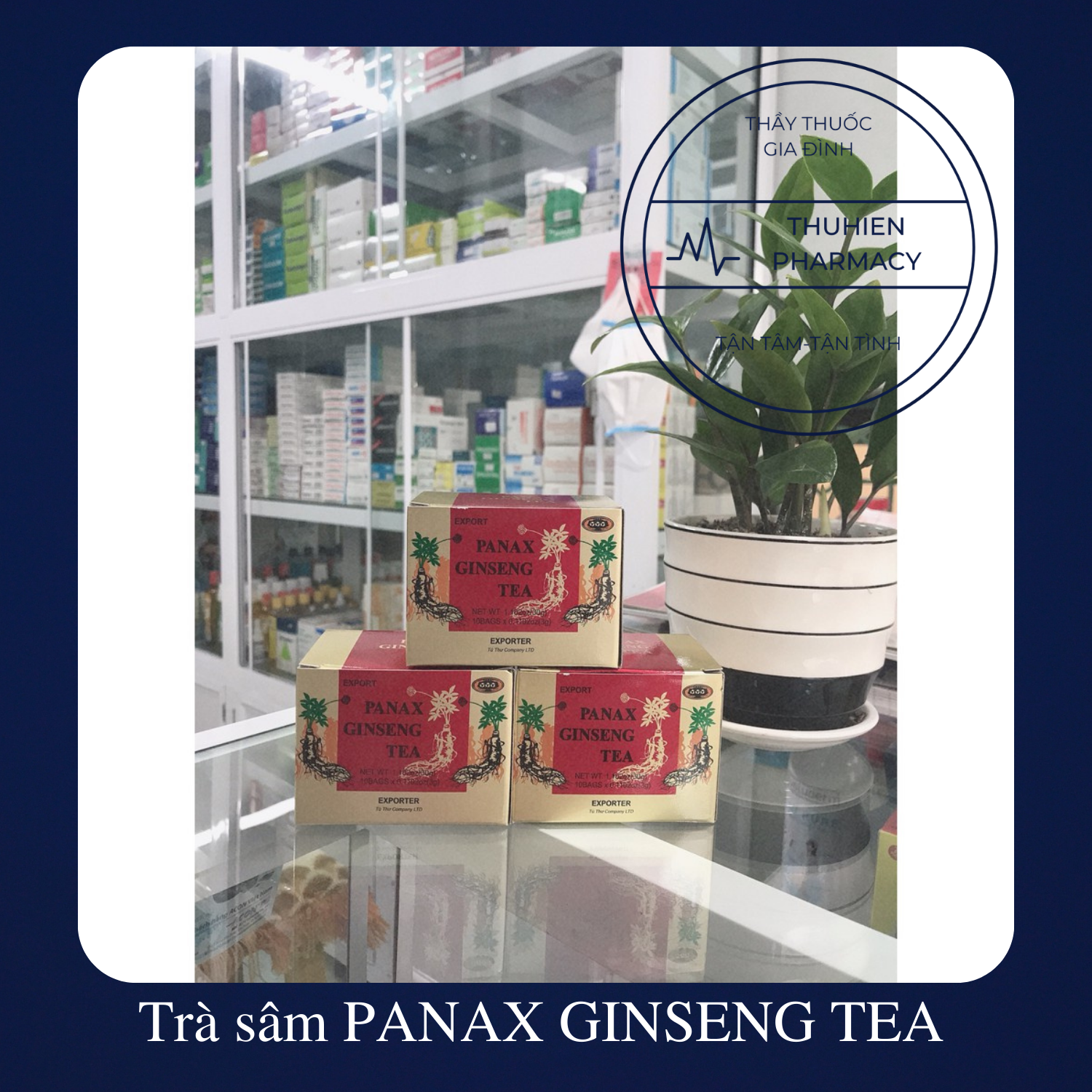 Panax Ginseng Tea Ginseng Tea Box of 100 Packs