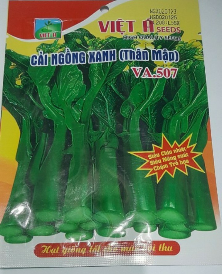 (Gói 20g)Hạt giống rau cải ngồng F1