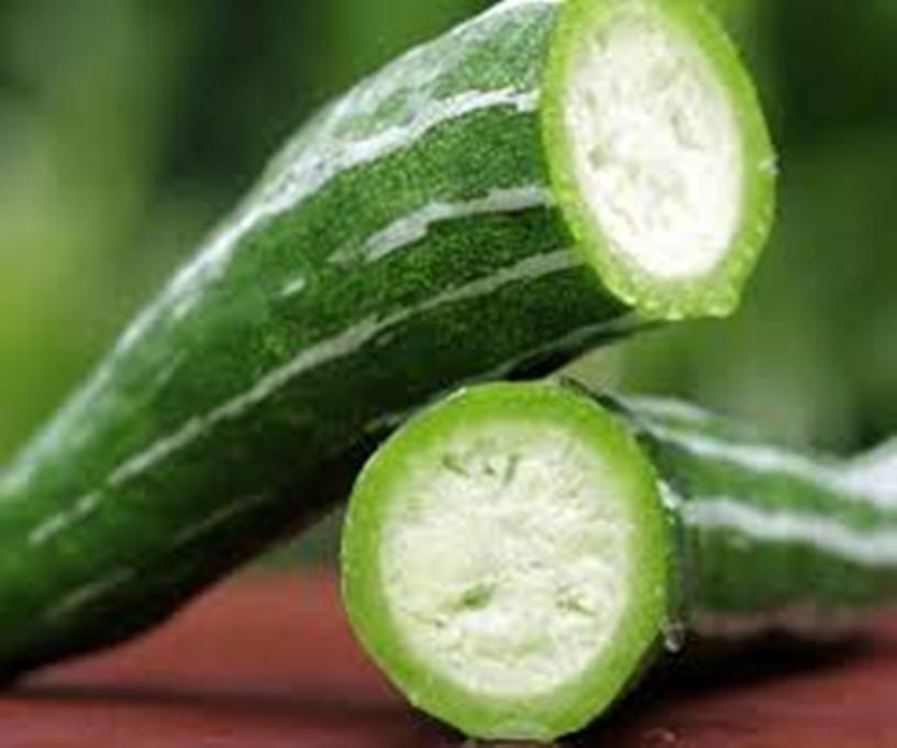 Hạt giống Mướp ngọt (Lặc lày)