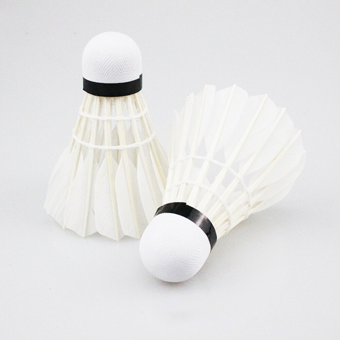 Set 2 quả cầu lông đánh vợt