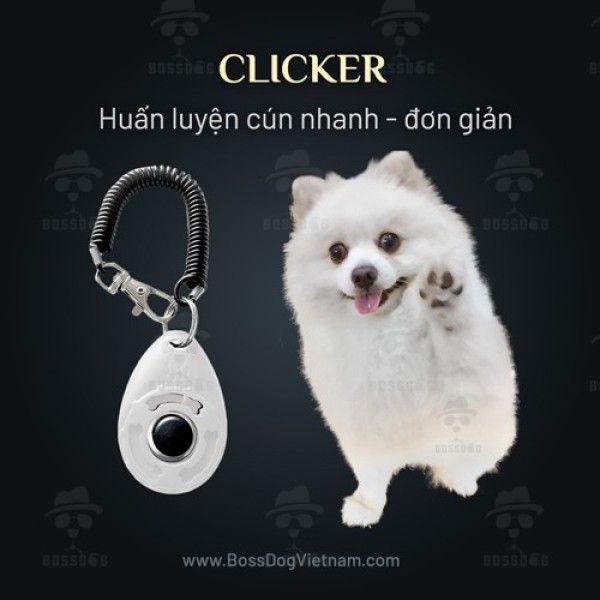 Clicker BENE dạy chó nhanh hiệu quả  BH trọn đời  BossDog