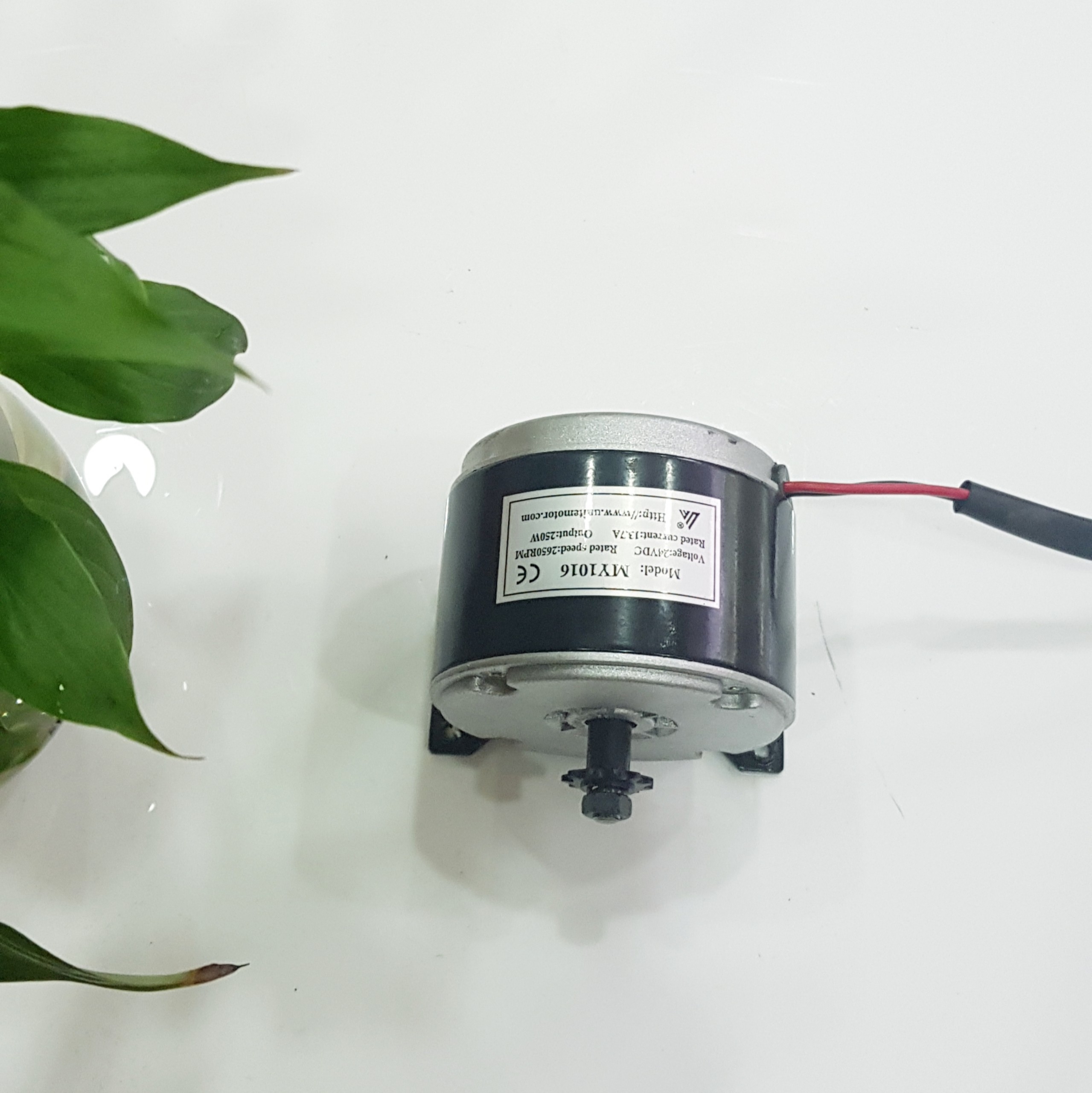 Combo bộ Động Cơ 24V250W chổi than chế xe điện