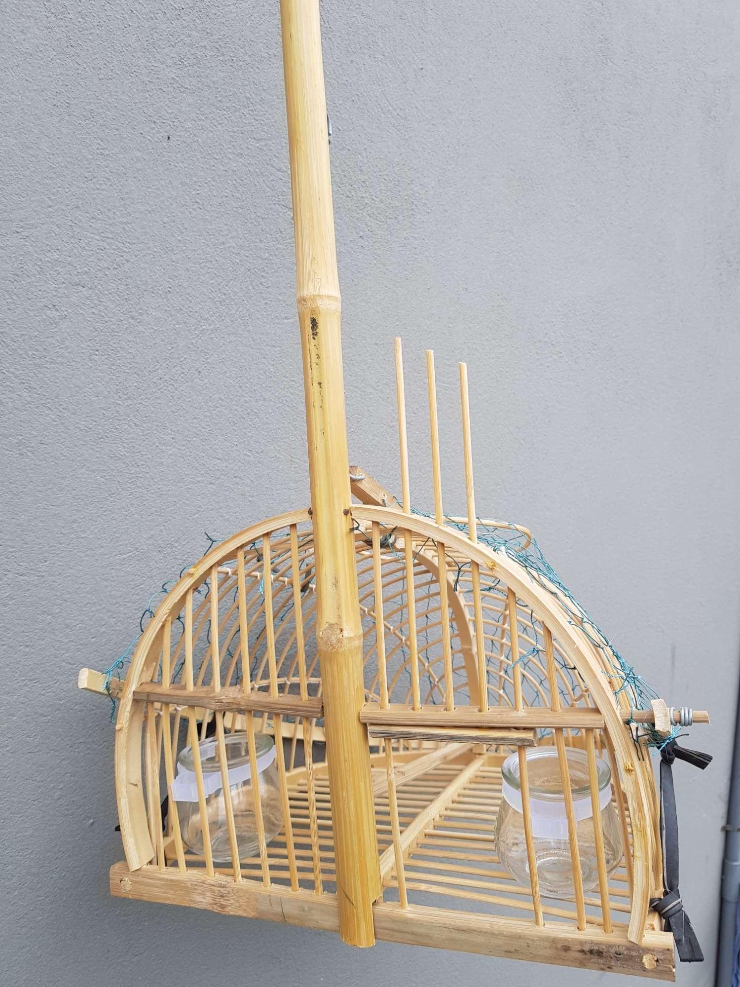 Lồng bẫy chim chào mào mi khướu