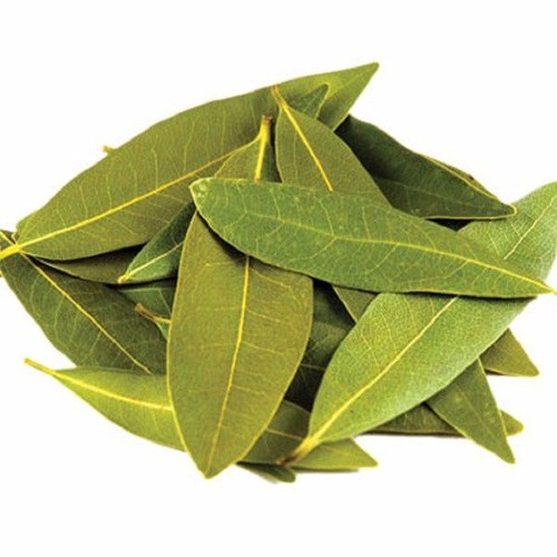 Lá nguyệt quế bay 100g