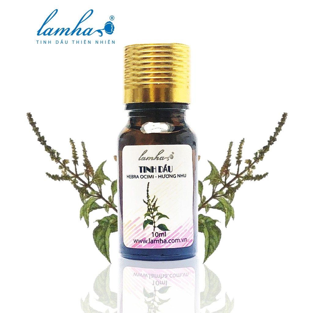 Tinh dầu Hương Nhu - Lam Hà 10ml