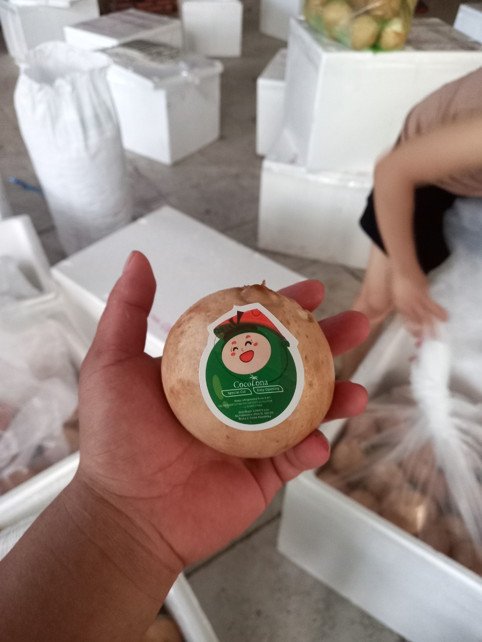 dừa xiêm gọt trọc.