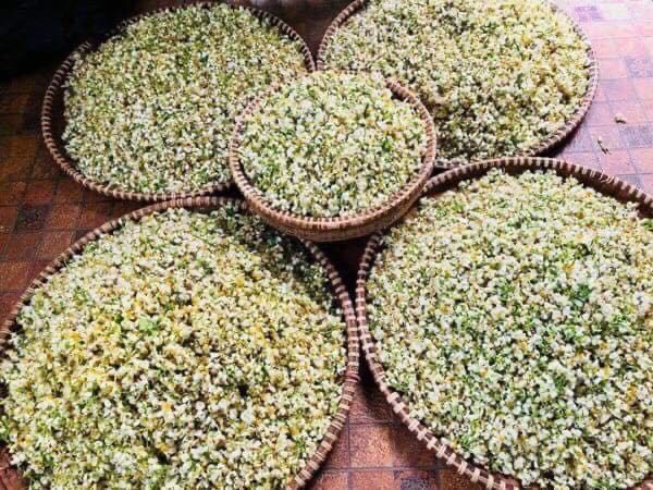 Nước cất hoa bưởi Pomely
