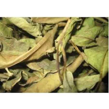 1kg lá vối khô hàng lᴏại 1