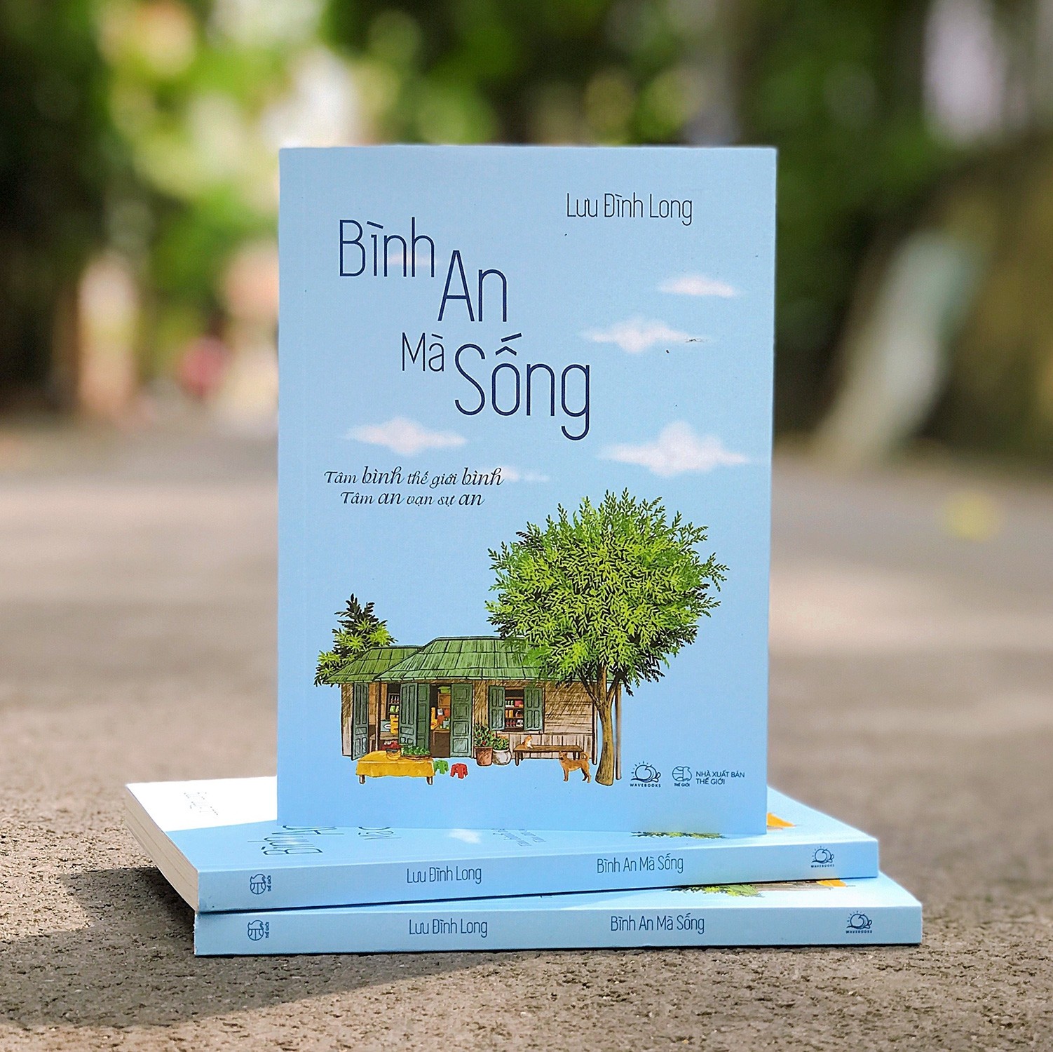 Sách - Bình An Mà Sống - Lưu Đình Long