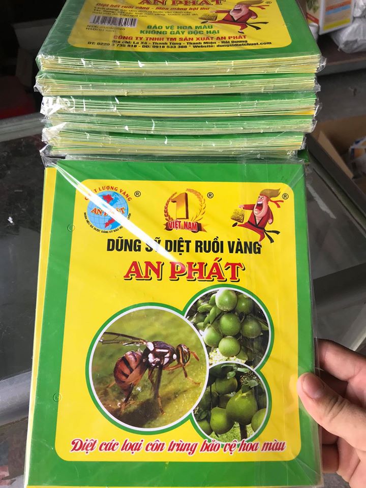Miếng dán diệt ruồi vàng hại hoa Lan, rau màu, cây ăn trái An Phát ( Kèm dây buộc)