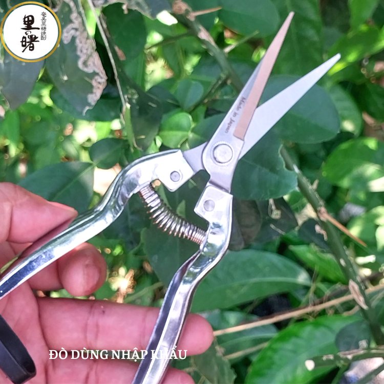 Kéo cắt kéo tỉa cành SK5 kèm lò xo sơ cua hàng cao cấp xuất Nhật