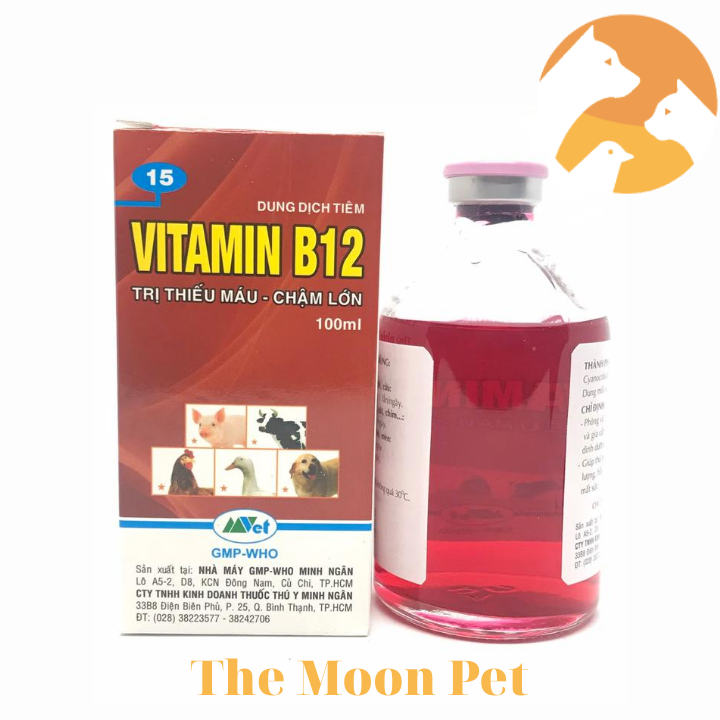 Vitamin B12 [100 ml] cho vật nuôi thiếu máu, chậm lớn.