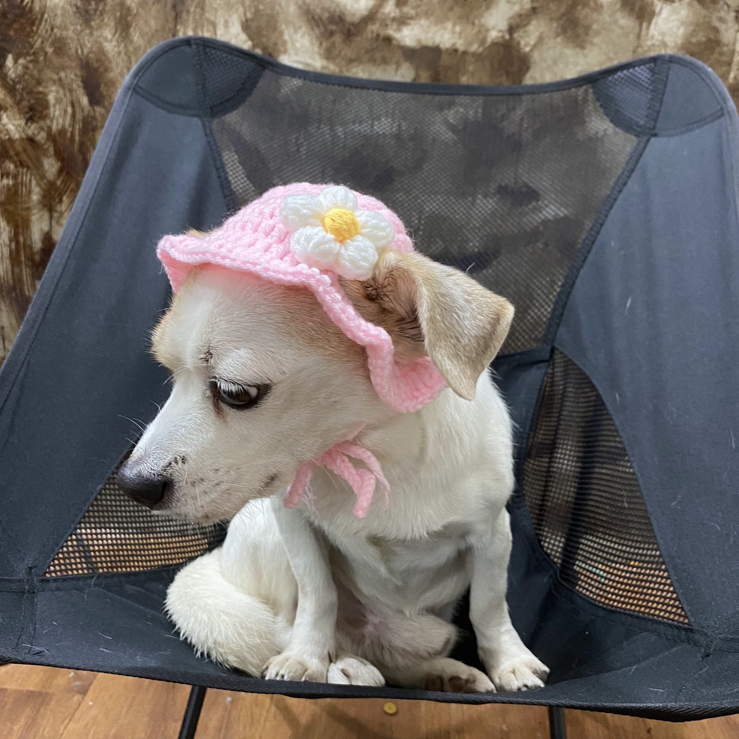 Mũ Len Cho Chó Mèo Dễ Thương
