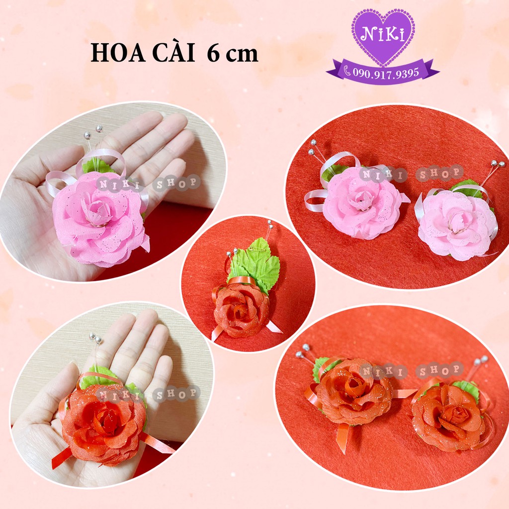 HOA CÀI ÁO & STICKER DÁN HAI HỌ